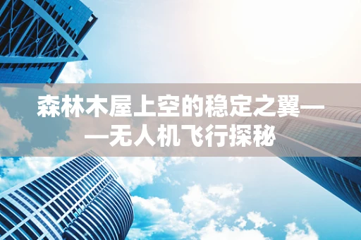 森林木屋上空的稳定之翼——无人机飞行探秘