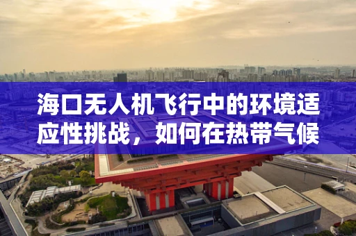 海口无人机飞行中的环境适应性挑战，如何在热带气候中保持飞行稳定？
