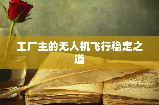 工厂主的无人机飞行稳定之道