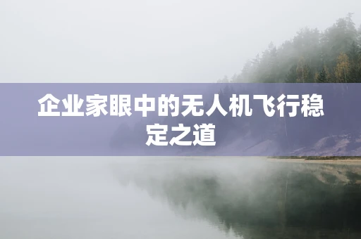 企业家眼中的无人机飞行稳定之道