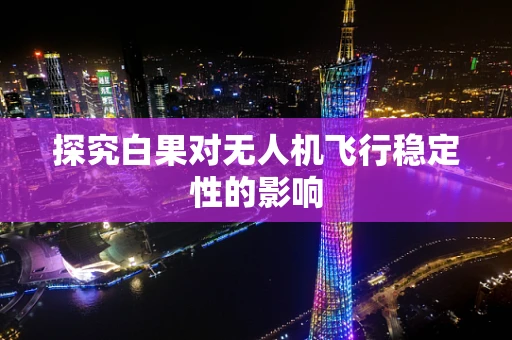 探究白果对无人机飞行稳定性的影响