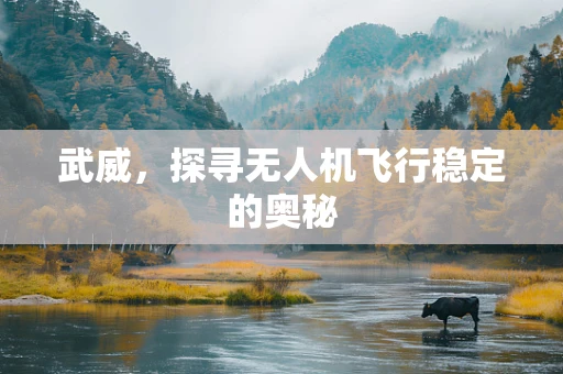 武威，探寻无人机飞行稳定的奥秘