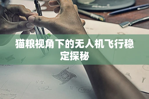猫粮视角下的无人机飞行稳定探秘