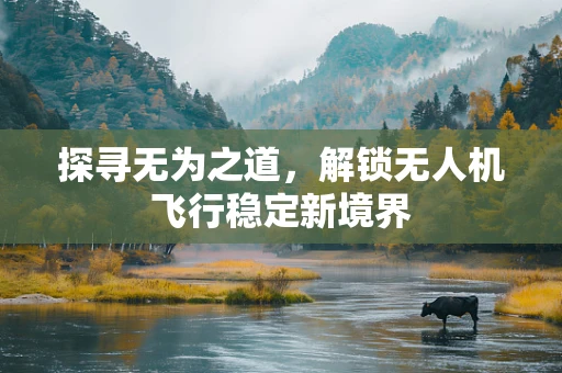 探寻无为之道，解锁无人机飞行稳定新境界