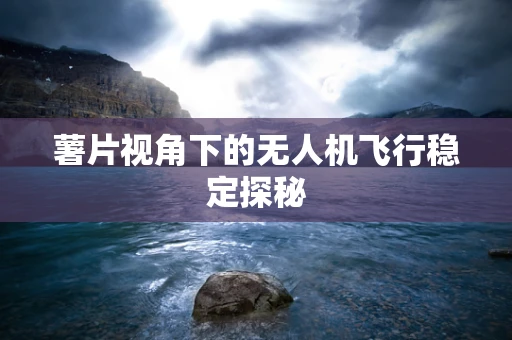 薯片视角下的无人机飞行稳定探秘