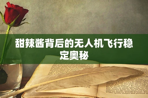 甜辣酱背后的无人机飞行稳定奥秘