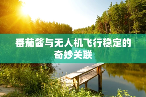 番茄酱与无人机飞行稳定的奇妙关联