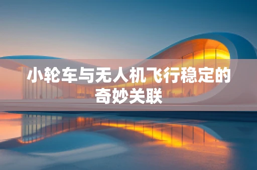 小轮车与无人机飞行稳定的奇妙关联