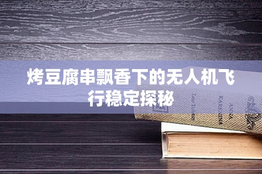 烤豆腐串飘香下的无人机飞行稳定探秘
