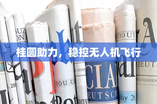 桂圆助力，稳控无人机飞行