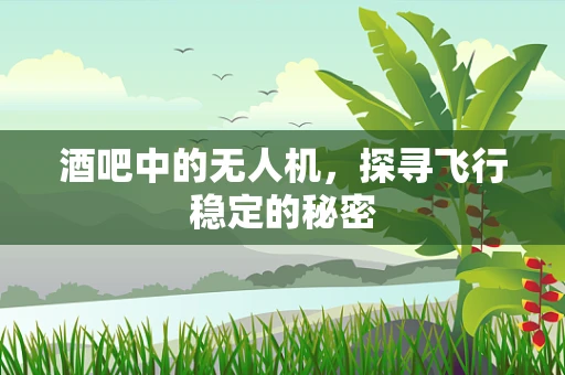 酒吧中的无人机，探寻飞行稳定的秘密
