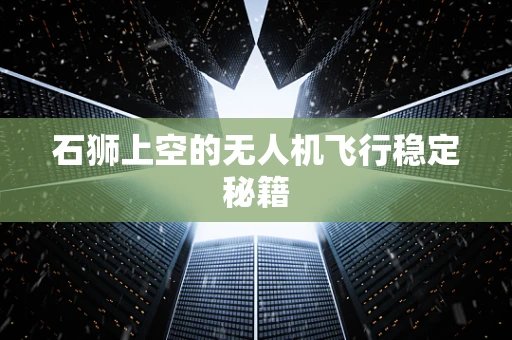 石狮上空的无人机飞行稳定秘籍