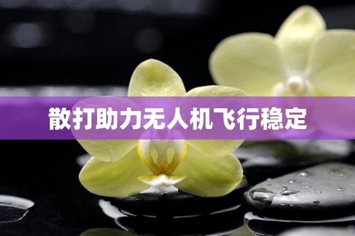 散打助力无人机飞行稳定