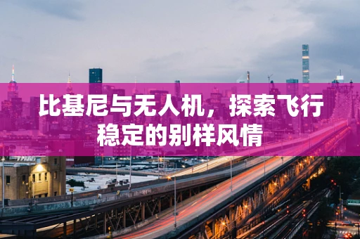 比基尼与无人机，探索飞行稳定的别样风情
