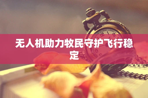 无人机助力牧民守护飞行稳定
