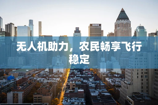 无人机助力，农民畅享飞行稳定