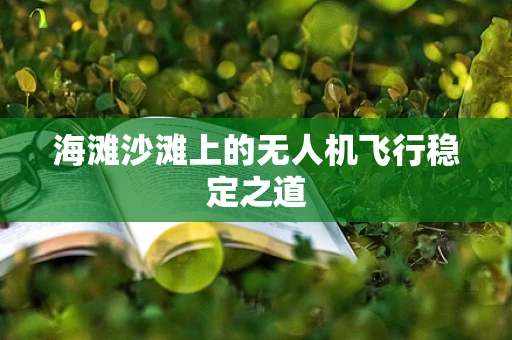 海滩沙滩上的无人机飞行稳定之道