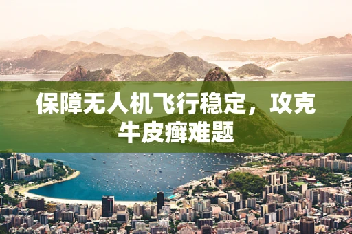 保障无人机飞行稳定，攻克牛皮癣难题
