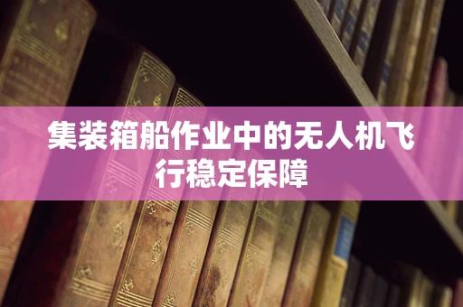 集装箱船作业中的无人机飞行稳定保障