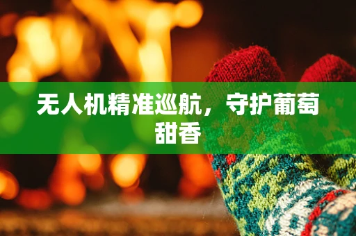 无人机精准巡航，守护葡萄甜香