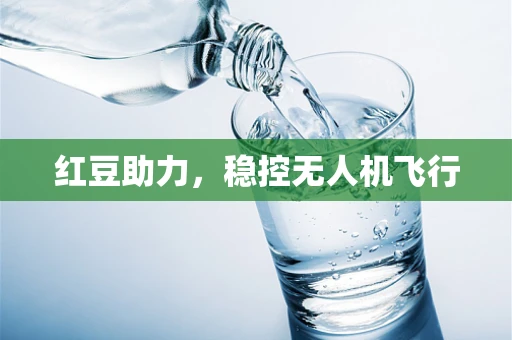 红豆助力，稳控无人机飞行