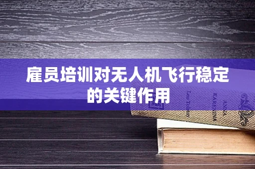 雇员培训对无人机飞行稳定的关键作用