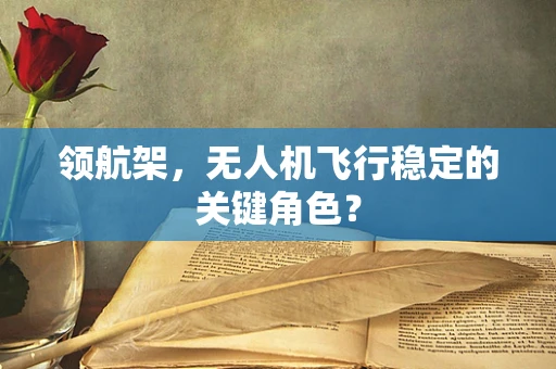 领航架，无人机飞行稳定的关键角色？