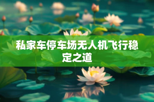 私家车停车场无人机飞行稳定之道