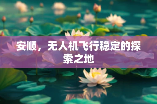 安顺，无人机飞行稳定的探索之地