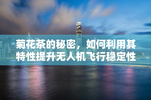 菊花茶的秘密，如何利用其特性提升无人机飞行稳定性？