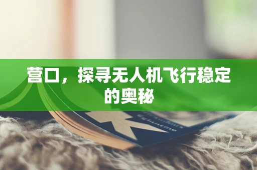 营口，探寻无人机飞行稳定的奥秘