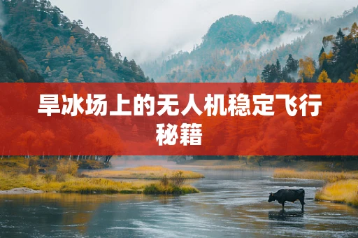 旱冰场上的无人机稳定飞行秘籍