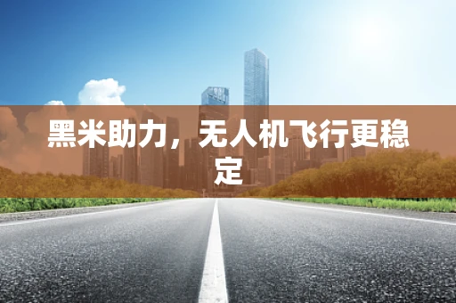 黑米助力，无人机飞行更稳定