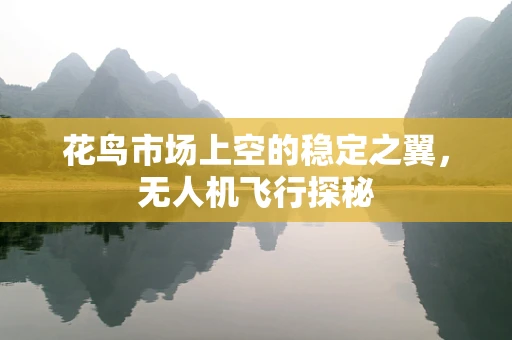 花鸟市场上空的稳定之翼，无人机飞行探秘