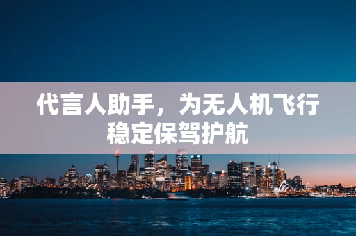 代言人助手，为无人机飞行稳定保驾护航