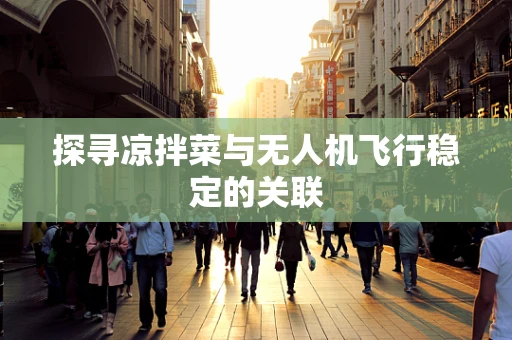 探寻凉拌菜与无人机飞行稳定的关联
