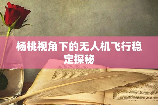 杨桃视角下的无人机飞行稳定探秘