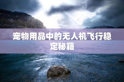 宠物用品中的无人机飞行稳定秘籍