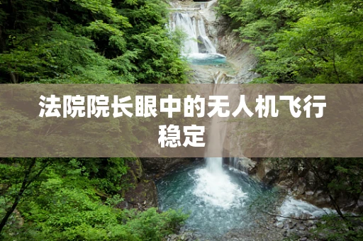 法院院长眼中的无人机飞行稳定
