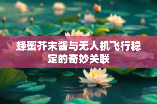 蜂蜜芥末酱与无人机飞行稳定的奇妙关联