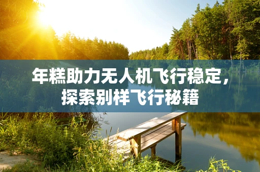 年糕助力无人机飞行稳定，探索别样飞行秘籍