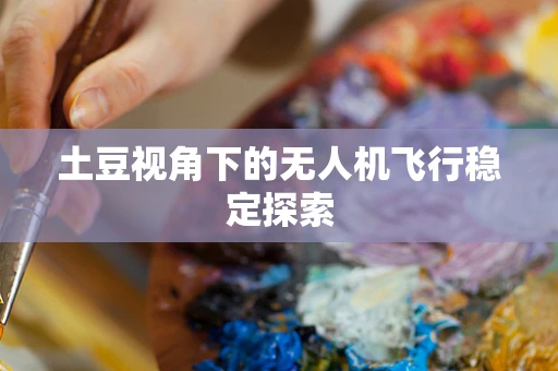 土豆视角下的无人机飞行稳定探索