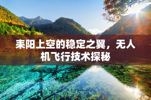 耒阳上空的稳定之翼，无人机飞行技术探秘