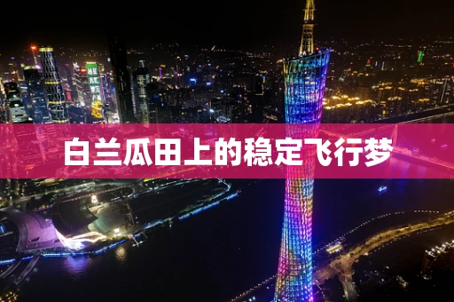 白兰瓜田上的稳定飞行梦