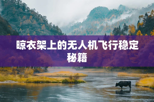 晾衣架上的无人机飞行稳定秘籍