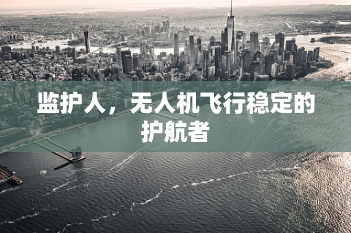监护人，无人机飞行稳定的护航者
