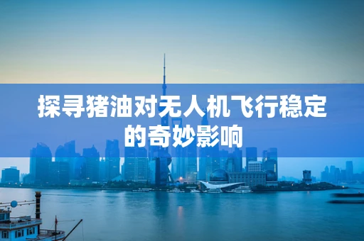 探寻猪油对无人机飞行稳定的奇妙影响