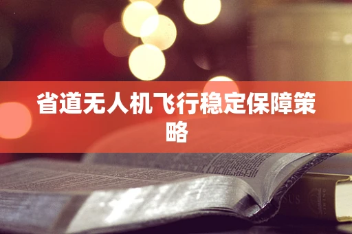 省道无人机飞行稳定保障策略