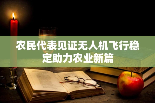 农民代表见证无人机飞行稳定助力农业新篇