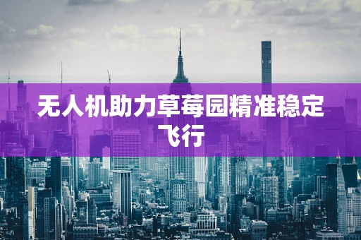 无人机助力草莓园精准稳定飞行